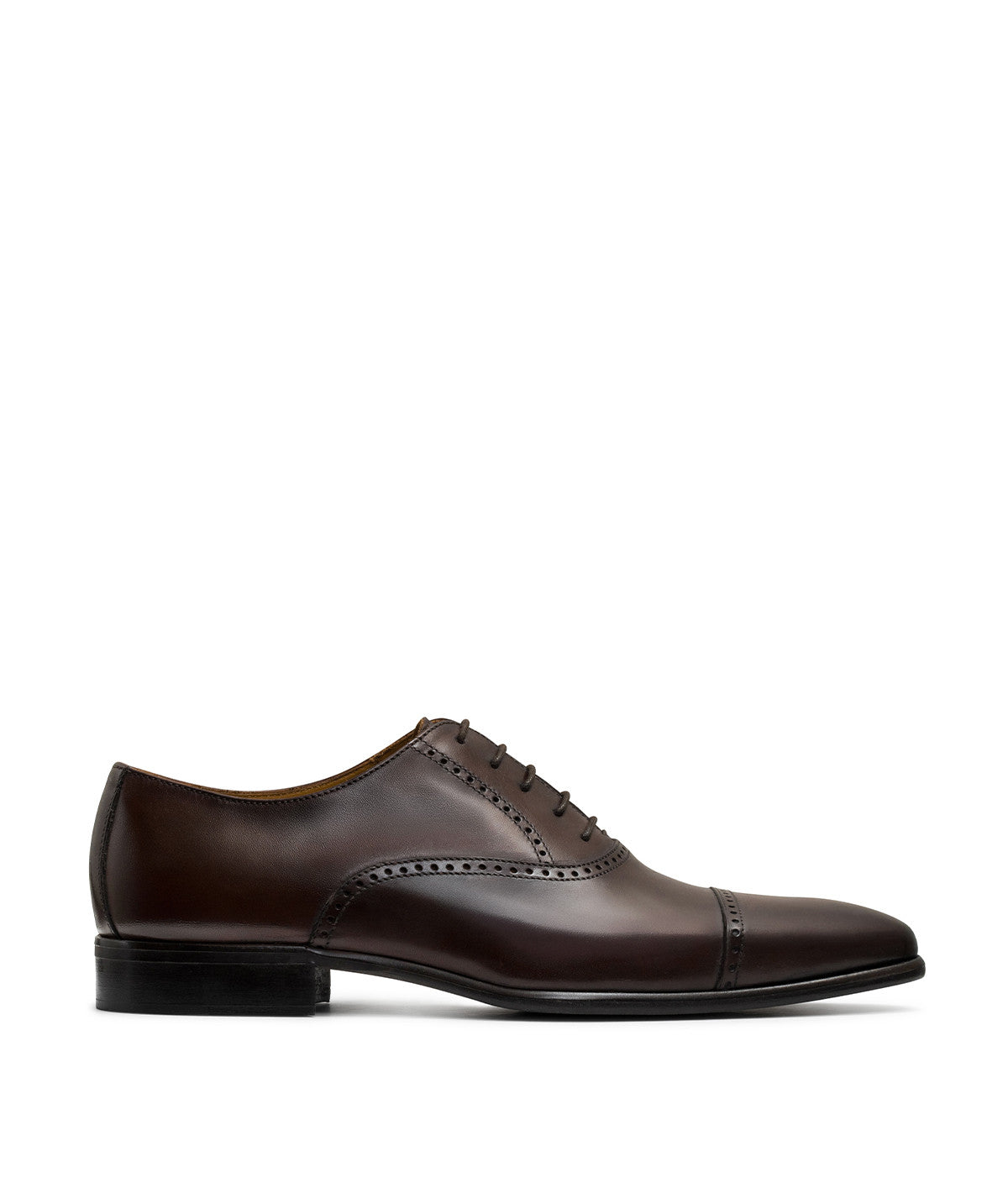 Richelieu PHAREL Brown - Finsbury Shoes