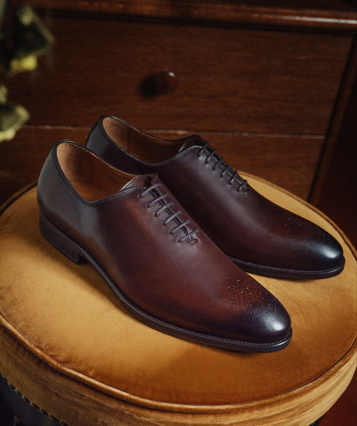 Richelieu SILVIO Marron Nuancé