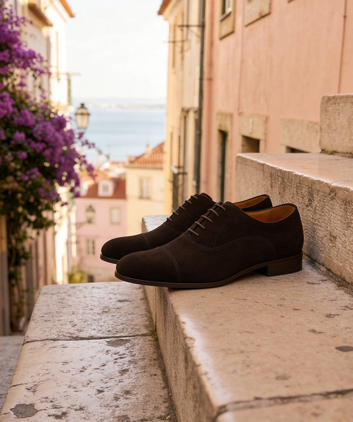 Richelieu WHITNEY Dark Brown Suede