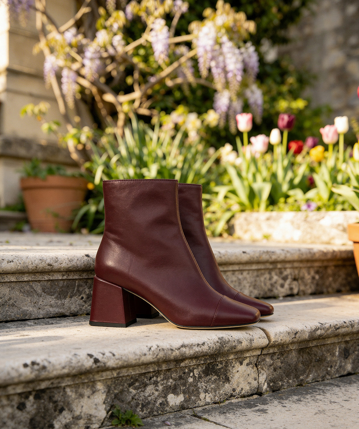 Ankle Boots LAURE Vine